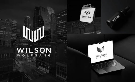 I will do modern minimalist professional logo design